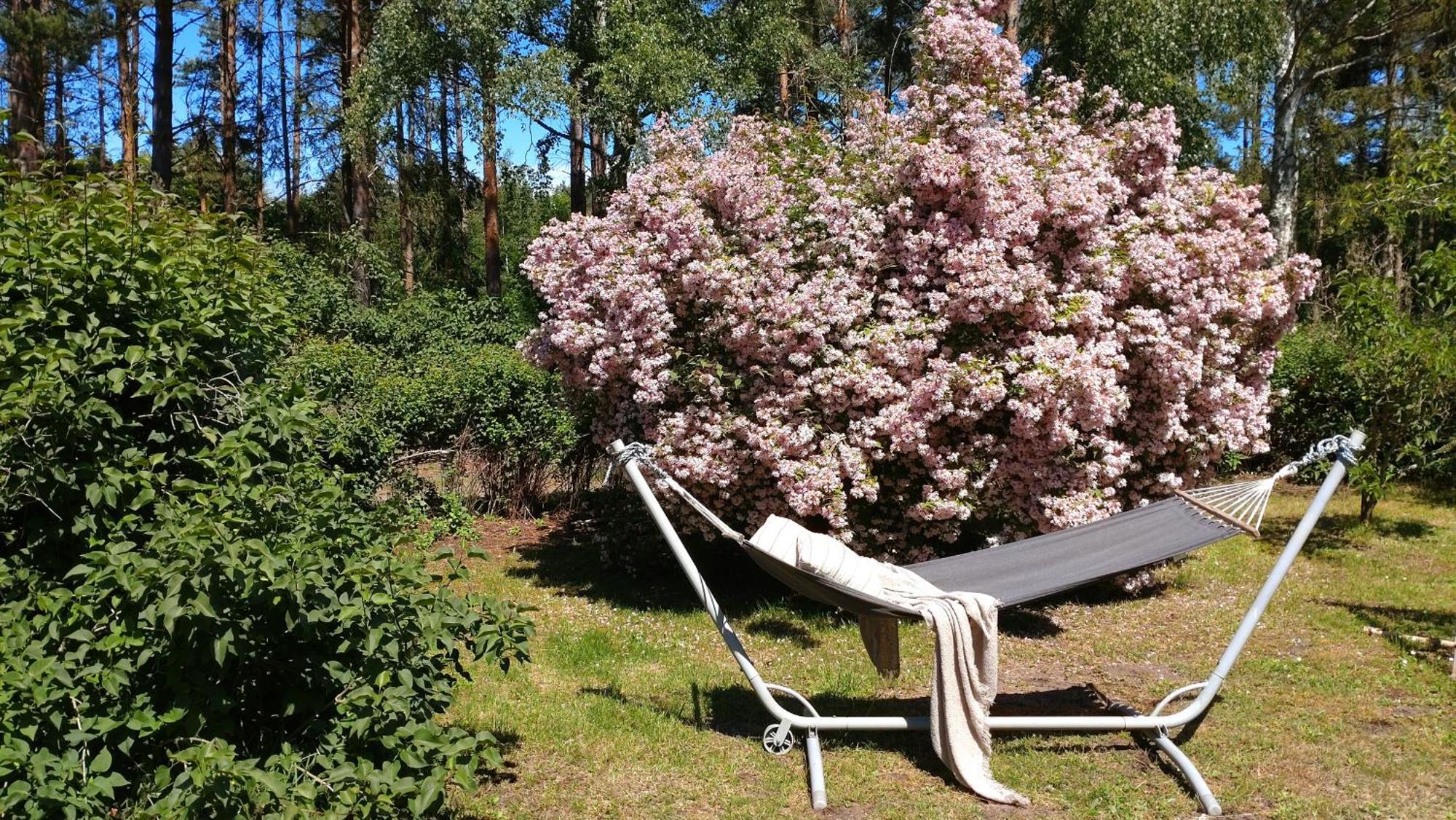 Oesterlencharm Löderup Kültér fotó
