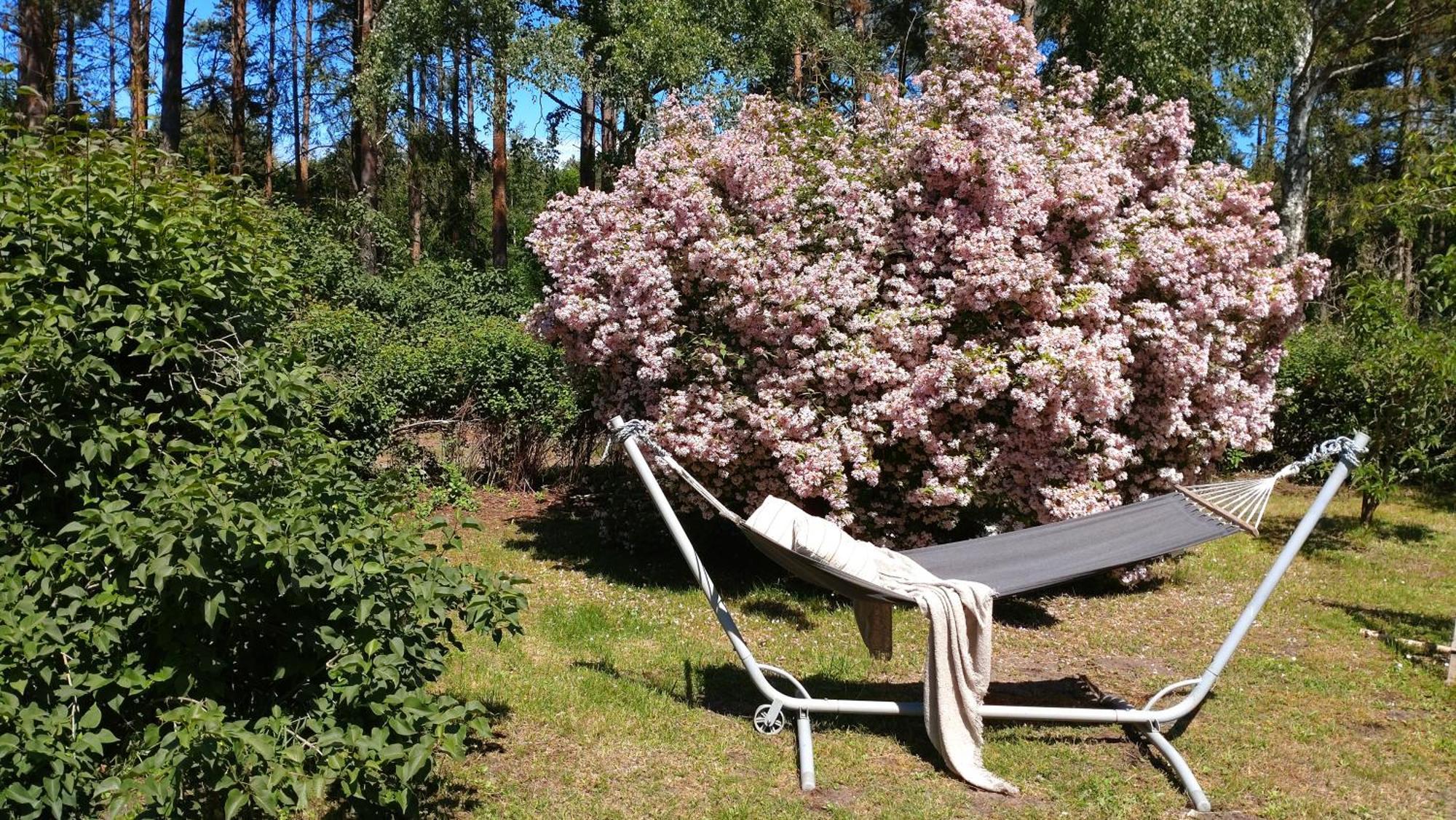 Oesterlencharm Löderup Kültér fotó